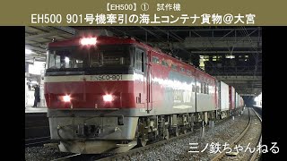 【EH500】①　試作機　901号機牽引の海上コンテナ貨物列車（駅撮り@大宮）2005年