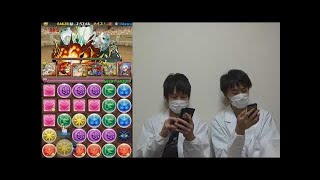 【パズドラ】ミル降臨特別版　けみぃと協力プレイ