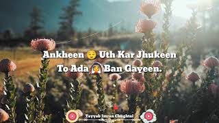 Afreen Afreen | Nusrat Fateh Ali Khan | NFAK | HD Whatsapp Video Status | Tiktok Imo SnackVideo Like