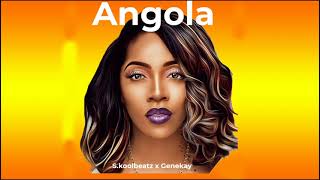 Afrobeat Instrumental 2021 "Angola" (Fireboy ✘ Joeyboy ✘ Davido Type Beat) Afropop Type Beat 2021