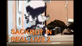 Sackboy in real life 2