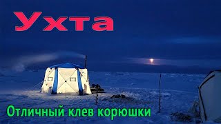 Ухта 17-18.02.2025 отличный клев корюшки #ухтакорюх2025