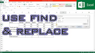 Microsoft Excel Tutorial [19]- Using find and replace