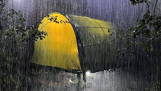 Nig의 숲에서 멈추지 않는 폭우와 천둥 소리와 함께 노란색 텐트에서 즉시 깊은 잠