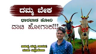 ದಮ್ಮ ಬೇಕ ಧಾರವಾಡ ಹೋರಿ ದಾಟಿ ಹೋಗಾಕ।Manju Mishrikoti।Hori Song। ರಬ್ಬಲ್ ಸೋನಿ ಹೋರಿ