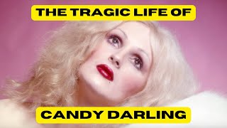 Candy Darling: Warhol's Iconic Trans Superstar