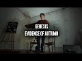 Genesis - Evidence of Autumn COVER (live, acoustic)