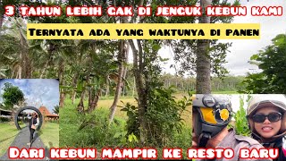 JENGUK KEBUN BUAH KAMI 3 TAHUN LEBIH GAK PERNAH KESINI‼️MAMPIR KE CAFE BARU