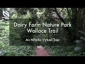 Dairy Farm Nature Park Wallace Trail | An NParks Virtual Tour