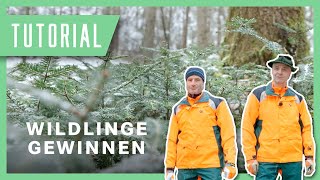 Wolfi & Tobi zeigen: Wildlinge gewinnen I Tutorial der Bayerischen Staatsforsten #Pflanzen