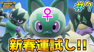 【強運】新春運試し‼︎確率の低い「メス」のニャオハは何匹目に生まれる? 【ポケモンSV】