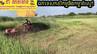 គោយន្តសាំងកាត់ស្មៅជជុះជប៉ុន