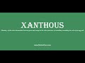 xanthous: How to pronounce xanthous with Phonetic and Examples