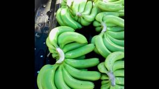 G9 banana packing in theni