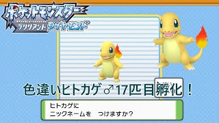 【ポケモンBDSP】色違いヒトカゲ♂17匹目孵化！【色違い】