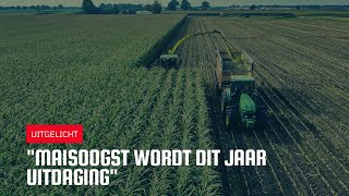 Uitgelicht | 'Maisoogst wordt dit jaar uitdaging'