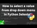 How to select a value from drop down menu in Python Selenium.