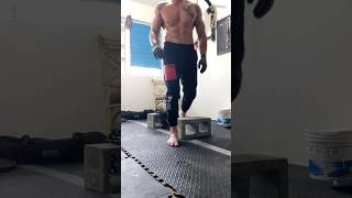 push-ups with 15kg