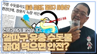 깔따구 유충 수돗물 끓여 먹으면 안전?