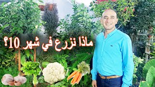 المحاصيل و الخضراوات التي يتم زراعتها بالمنزل بهذا الوقت شهر 10-11