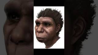 Homo Bodoensis Unlike Modern Humans? #ancestors  #ancient #humanity #human #education #share #like