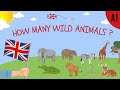 How many ?  Wild Animals ESL English