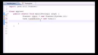 Java Programming Tutorial 16 Many Methods and Instances