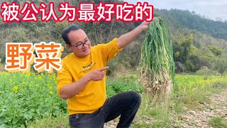 被公认为农村最好吃的野菜，很多人还不知道，看看你家乡有吗？