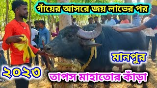 গাঁয়ের আসরে জয় লাভের পর // মানপুর তাপস মাহাতোর কাঁড়া অবস্থা দেখুন //  Purulia kara lorai 2023