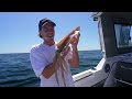 Offshore Fishing + Island Catch & Cook (Marion Bay, South Australia)