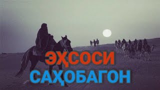 САҲОБАҲО ЧИ ГУНА БУДАНД | ЭҲСОСИ САҲОБАГОН.