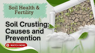 Soil Crusting: Causes, Effects \u0026 Prevention Tips | Spring Scientific 🌱