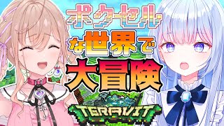 【TERAVIT/テラビット】8ビットのオープンワールドで大冒険？！大建築！！？【藍沢もも/白鳥怜奈/ぼいそーれ】