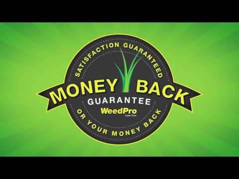 Your Lawn on WeedPro Your Lawn on WeedPro