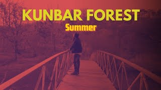 KUNBAR TOURISM | The Forest | Dediapada | Travel Gujarat |