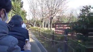 2016年２月　世田谷公園ミニSL「ちびくろ号」からの車窓？