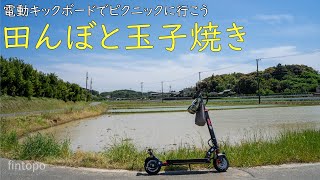 Let's go on a picnic; One of the 100 most beautiful Japanese rice paddies; Yamaguchi, Kosai, Japan