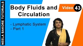 Body Fluids and Circulation | NEET | Lymphatic System  - Part 1 | Neela Bakore Tutorials