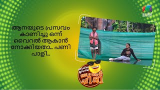 ആനയുടെ പ്രസവം കാണിച്ചു ഒന്ന് വൈറൽ ആകാൻ നോക്കിയതാ.. പണി പാളി   | Oru Chiri Iru Chiri Bumper Chiri