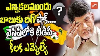 TDP MLA to Join YSRCP | Big Shock to AP CM Chandrababu | YS Jagan | Kadapa | YOYO TV Channel