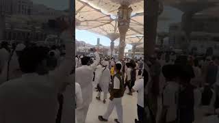 ماشاءاللہ ماشاءاللہ مدینہ ۔Mashallah######madina#travelvlog