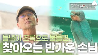 [자연의 철학자들] 들녘의 벗과 스승 | KBS 230623 방송