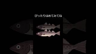 何て名前の魚でしょうか？（浮き釣りで釣れる魚）答えは説明に書いてあるよ