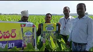 Megapower used in turmaric crop in Mamada