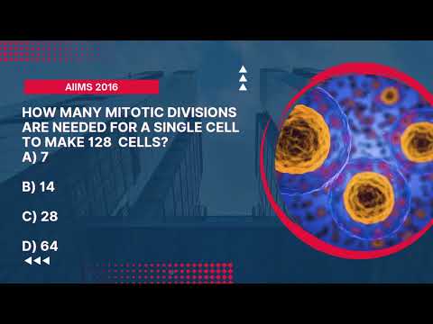How many meiotic divisions are needed to make 128 cells?