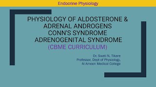 Physiology of Aldosterone \u0026 Adrenal Androgens Conn's syndrome and Adrenogenital syndrome