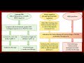 approach to breast masses cancer crash medical review series