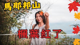 小百岳系列12｜一等三角點視野超棒 ! 看楓葉必來馬那邦山  細道邦山路況不錯可續行喔~~｜記得打開CC字幕｜4K畫質