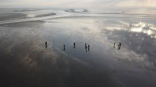 Wadlopen