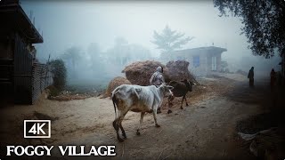 Walking in Indian Village on a Foggy Day | 4K Walking Tour in Winter Season